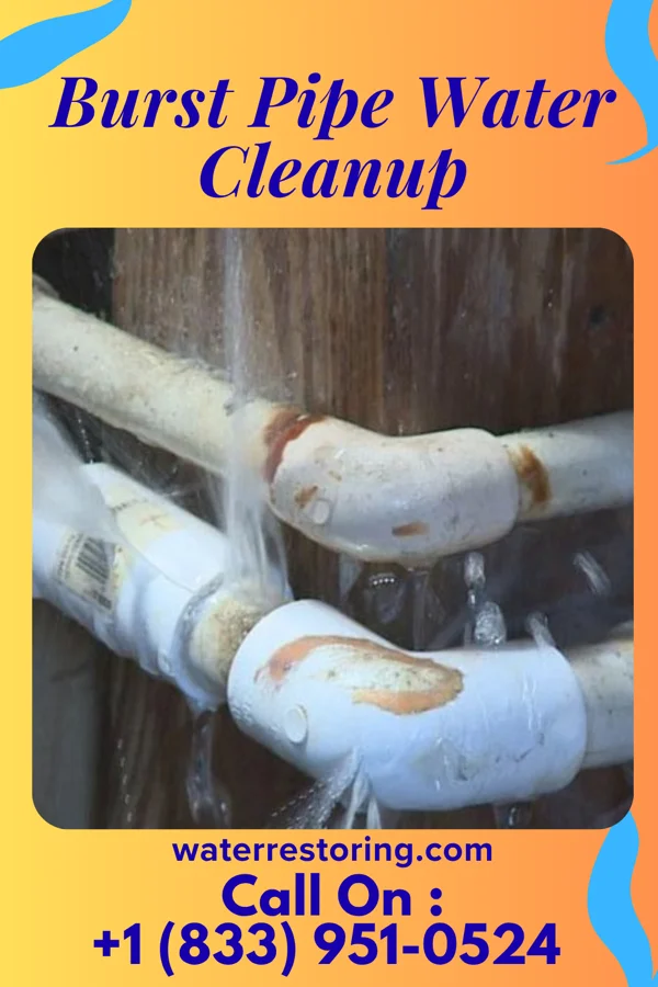 Burst Pipe Water Cleanup in Farmersville, OH