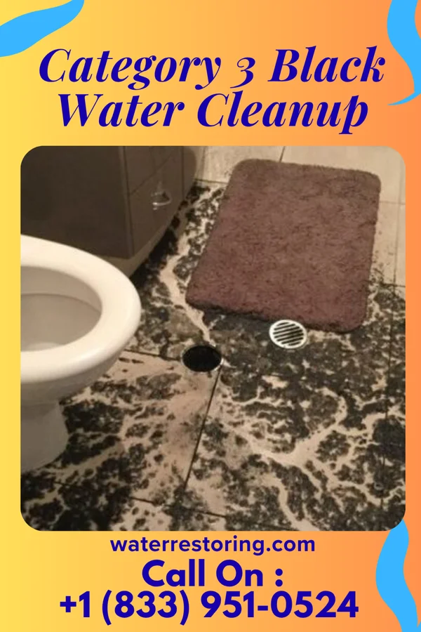 Category 3 Black Water Cleanup in Farmersville, OH