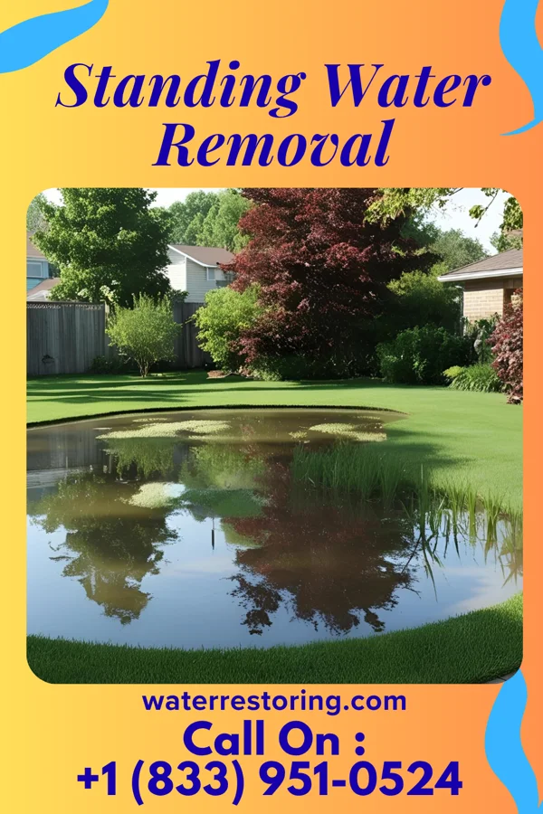 Standing Water Removal in Farmersville, OH